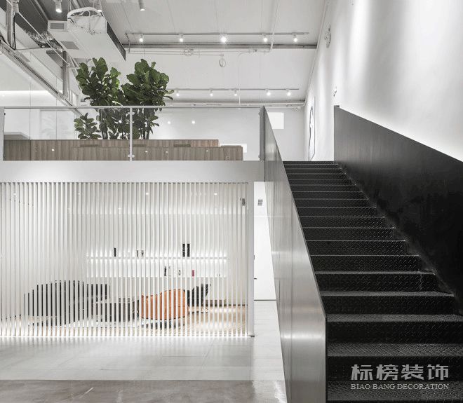 辦公室植物擺放植物有哪些，怎么擺放比較好？